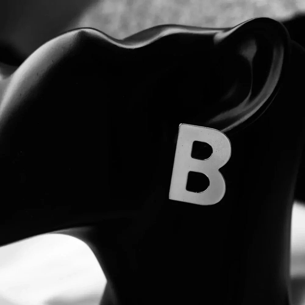 Fashion Designer”B” 925 Earrings - Picture 3 of 6